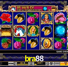 bra88 Rio de Janeiro - Professional Dealers
